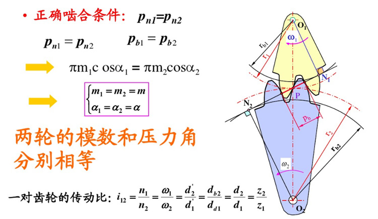 漸開線齒輪正確嚙合及連續(xù)傳動(dòng)需要滿足的條件